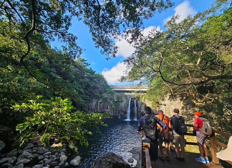 Picture 7 for Activity Jeju Island: Highlights Tour with Attraction Tickets & Lunch