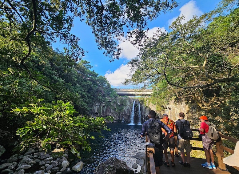 Picture 7 for Activity Jeju Island: Highlights Tour with Attraction Tickets & Lunch