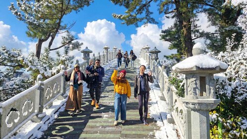 Jeju Island: SouthWest UNESCO Highlights Full-Day Tour