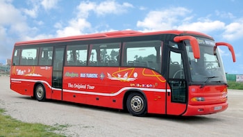 Bustour in Valencia met boottocht in natuurpark Albufera