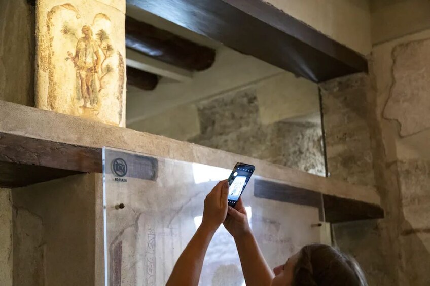 Private tour of the Pompeii archaeological site with a local guide