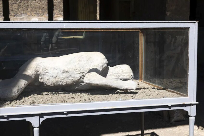 Private tour of the Pompeii archaeological site with a local guide