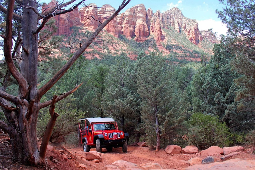 Picture 5 for Activity From Sedona: Red Rock West Jeep Tour