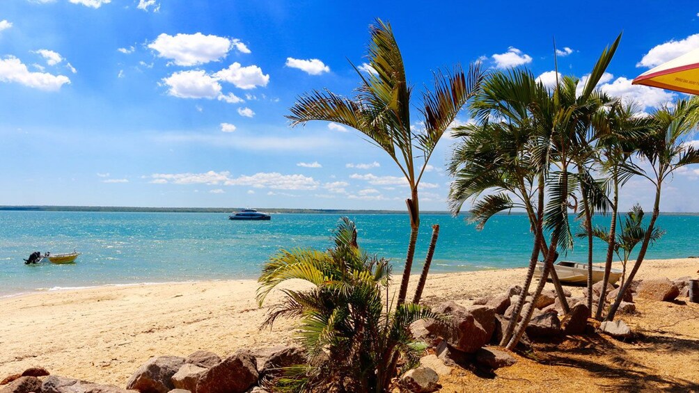 View from beach of ferry cruising past Crab Claw Island