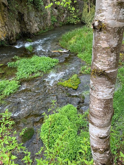 Picture 4 for Activity From Rapid City: Private Spearfish Canyon Tour