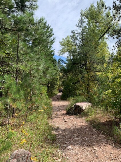 Picture 5 for Activity From Rapid City: Private Spearfish Canyon Tour