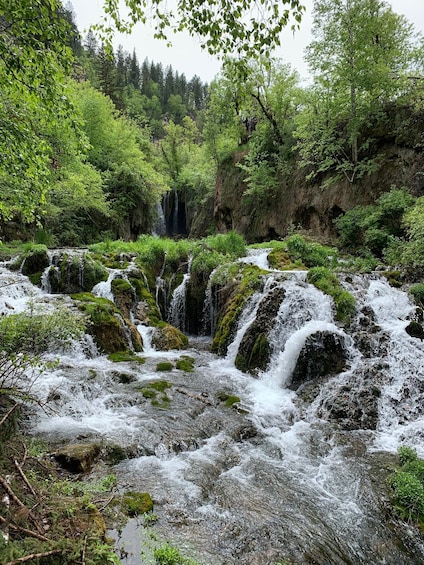 Picture 2 for Activity From Rapid City: Private Spearfish Canyon Tour