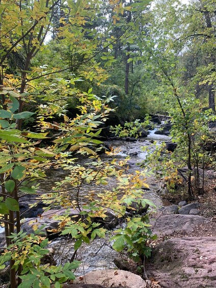 Picture 6 for Activity From Rapid City: Private Spearfish Canyon Tour