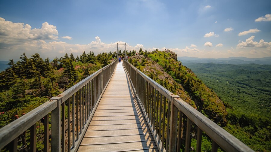 New York+ Richmond, Virginia+ Grandfather Mountain State Park