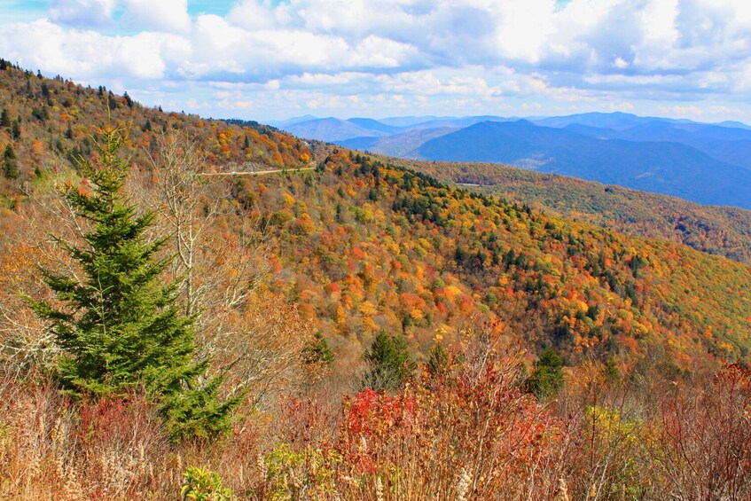 Blue Ridge Parkway GPS-Guided Audio Tour (Cherokee to Asheville)