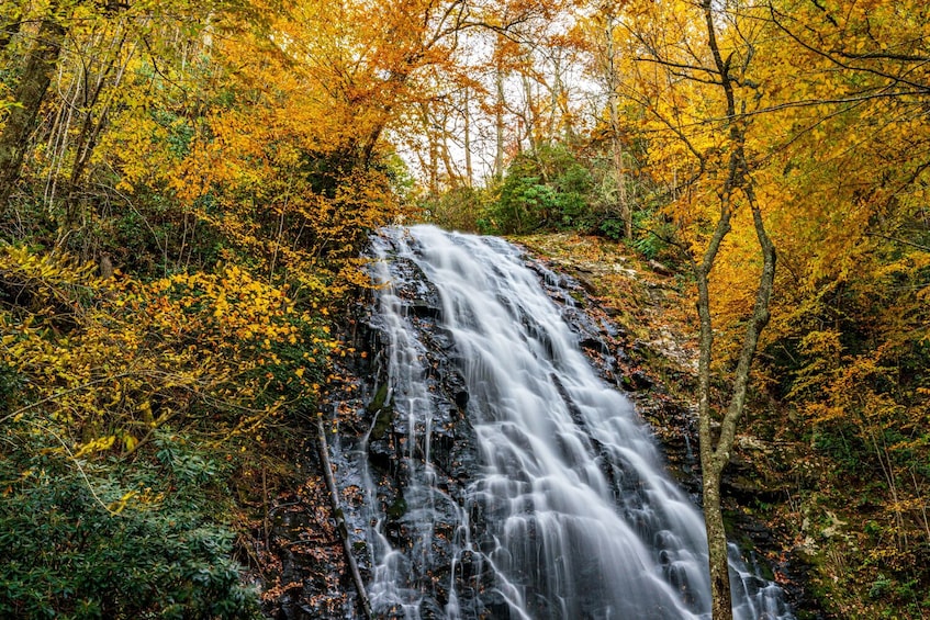 Blue Ridge Parkway GPS-Guided Audio Tour (Asheville to Roanoke)