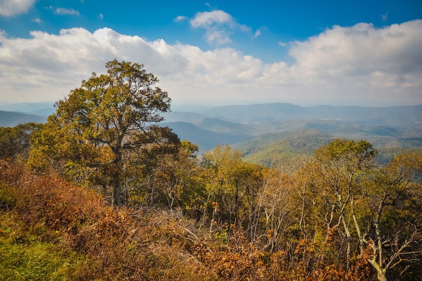 Blue Ridge Parkway GPS-Guided Audio Tour (Roanoke to Afton)