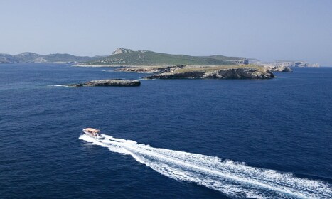 Colonia Sant Jordi：卡布雷拉群島周圍的遊覽船