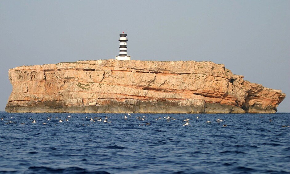 Picture 2 for Activity Colonia Sant Jordi: Boat Tour around Cabrera Archipelago