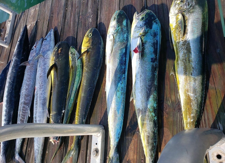 Picture 10 for Activity Nassau: Sport-fishing private charter .