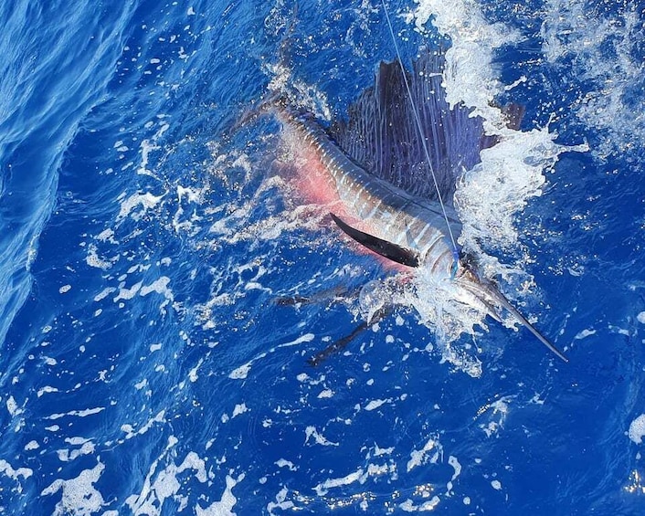 Nassau: Sport-fishing private charter .