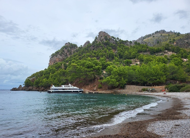 Picture 1 for Activity Sóller: Cala Tuent Roundtrip Cruise with Free Time