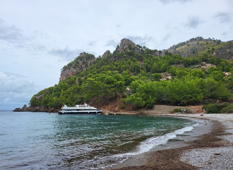 Picture 1 for Activity Puerto de Sóller - Cala Tuent Return Boat Trip