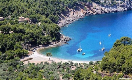 Puerto de Sóller: Bådtur til Cala Tuent og retur