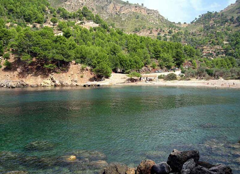 Picture 4 for Activity Puerto de Sóller - Cala Tuent Return Boat Trip