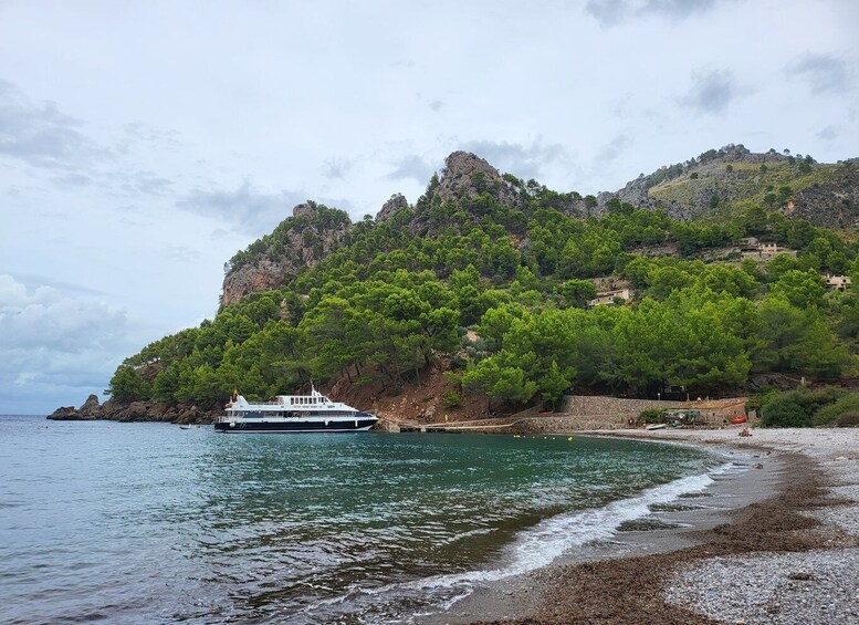 Picture 1 for Activity Puerto de Sóller: Cala Tuent Return Boat Trip