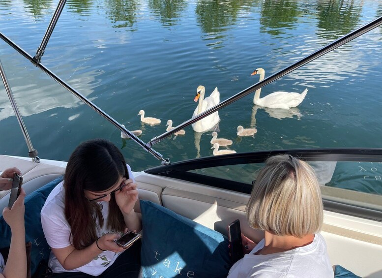 Picture 10 for Activity Visit of Strasbourg by private boat