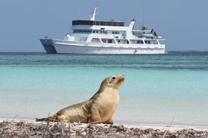 Eco Abrolhos