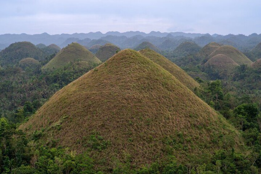 Private Tour in Bohol Chocolate Farm and Chocolate Hills