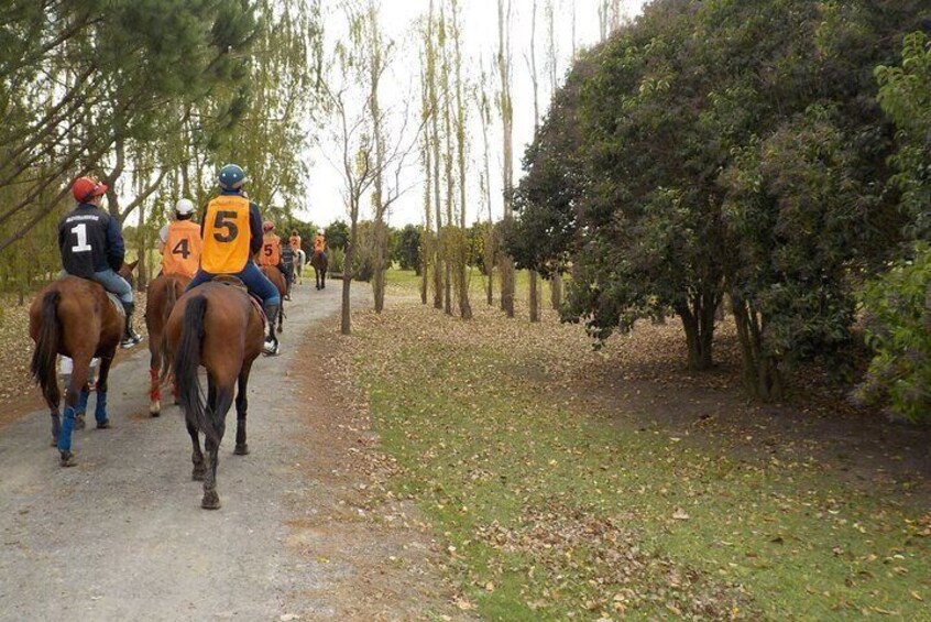 Horseback Riding Tour and Polo in Argentine Countryside