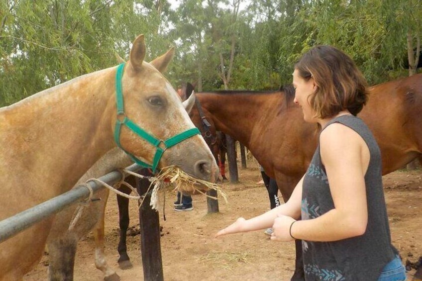 Horseback Riding Tour and Polo in Argentine Countryside