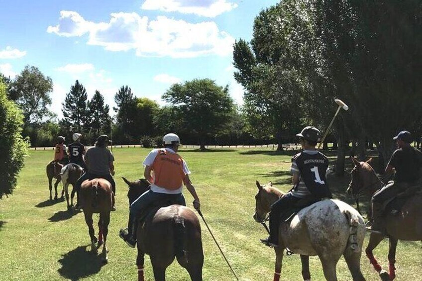 Horseback Riding Tour and Polo in Argentine Countryside