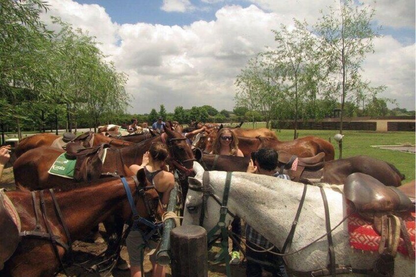 Horseback Riding Tour and Polo in Argentine Countryside