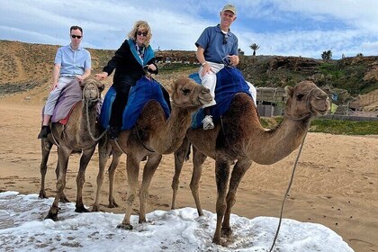 Private Tour: Tangier From Malaga. Breakfast and Lunch Included
