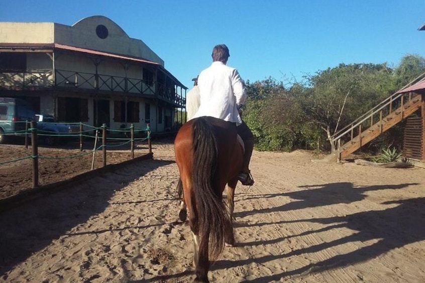 1 day trip to Macaneta beach + horse ride