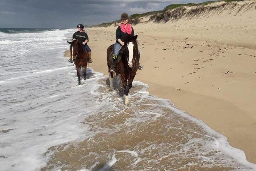 1 day trip to Macaneta beach + horse ride