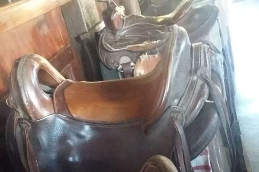 1 day trip to Macaneta beach + horse ride
