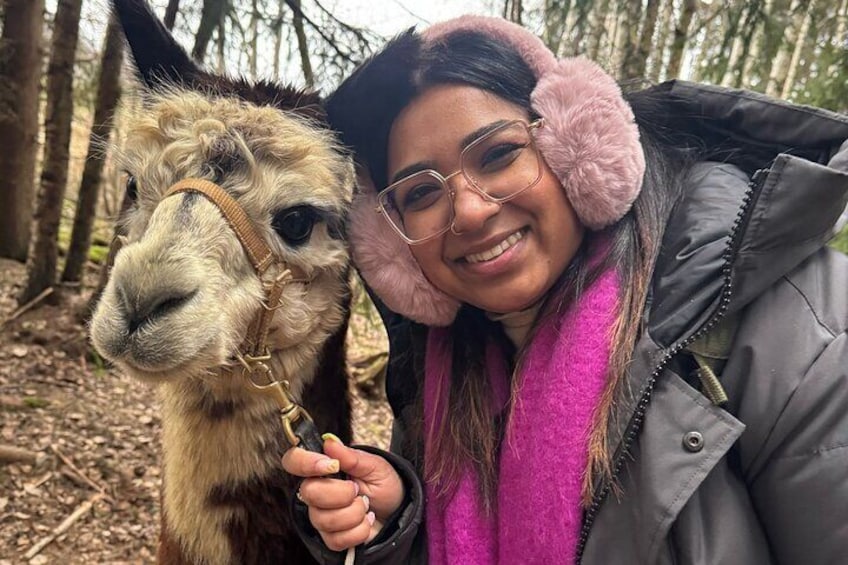 HELSINKI: Alpaca Farm Tour with Guided Walk