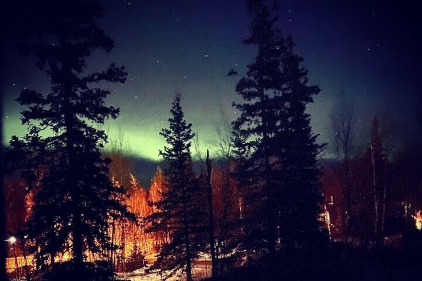 Starlight Snowshoe Adventure in Alaska