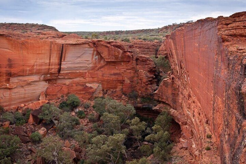 Uluru, Kata Tjuta and Kings Canyon Camping Safari from Ayers Rock