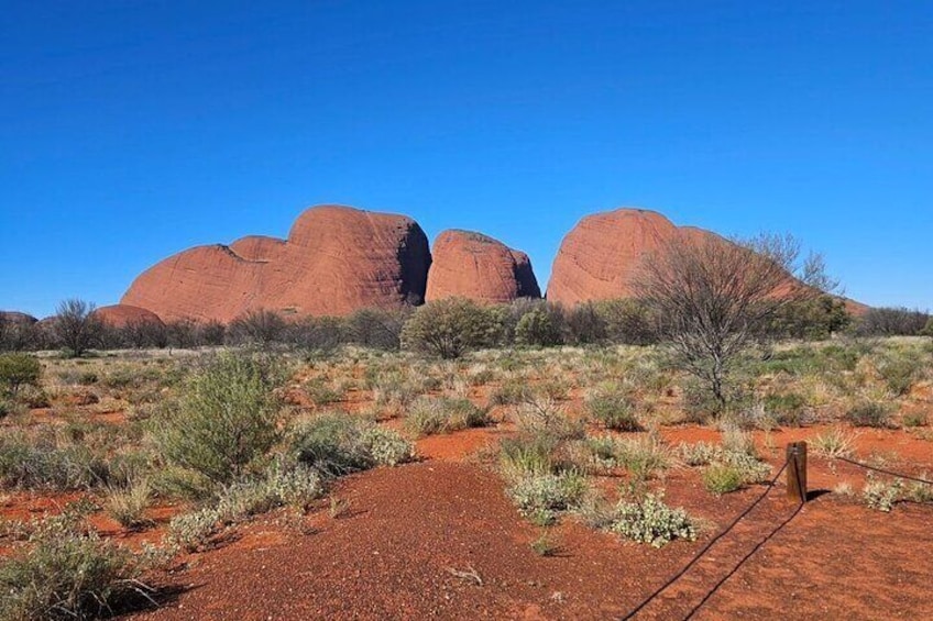 Uluru, Kata Tjuta and Kings Canyon Camping Safari from Ayers Rock