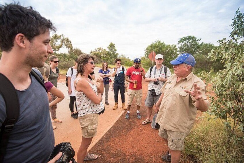 Uluru, Kata Tjuta and Kings Canyon Camping Safari from Ayers Rock