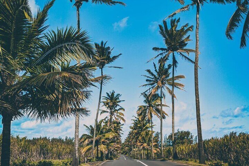 Full Day Private Guided Tour South of Mauritius 