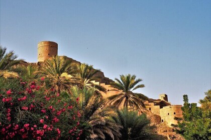 Enjoy the beauty of Fanja, Samail، Izki & Nizwa on a special trip