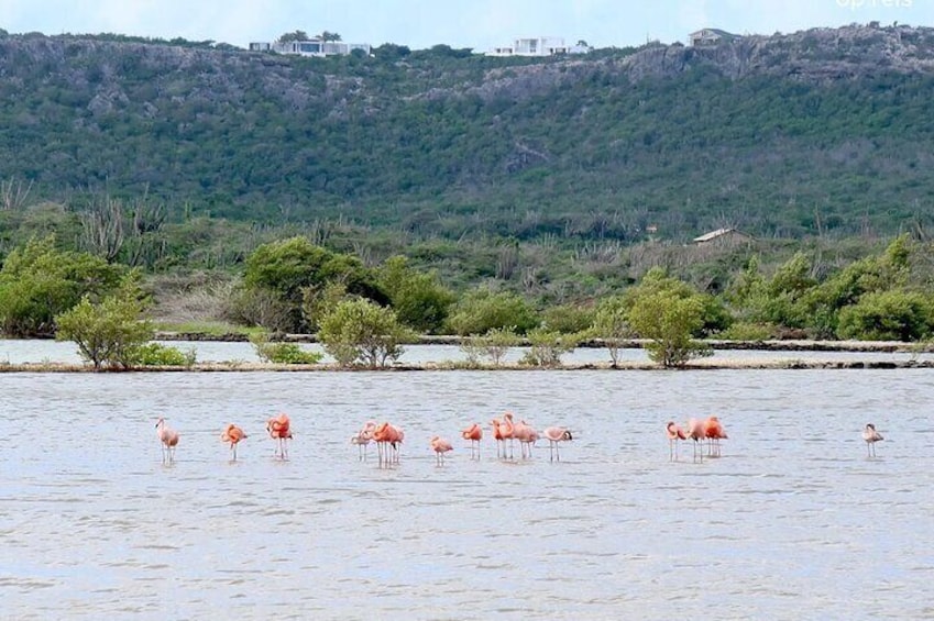 1st stop Flamingos reservoir 