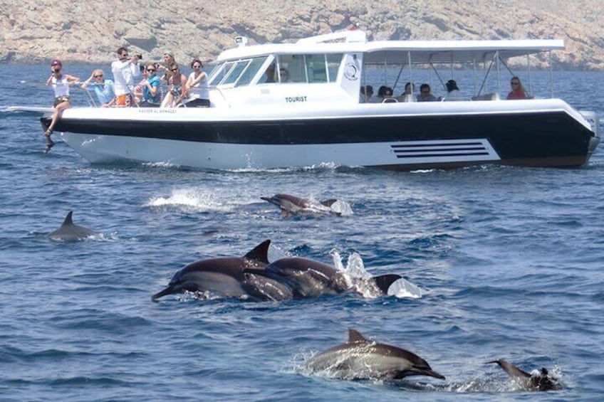 Experience Dolphin watching and snorkeling in Muscat