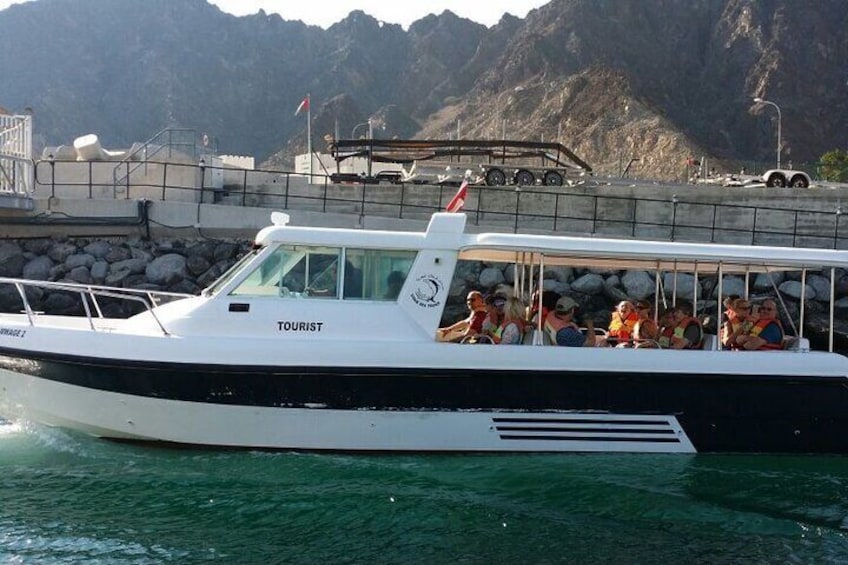 Dolphin watching boat