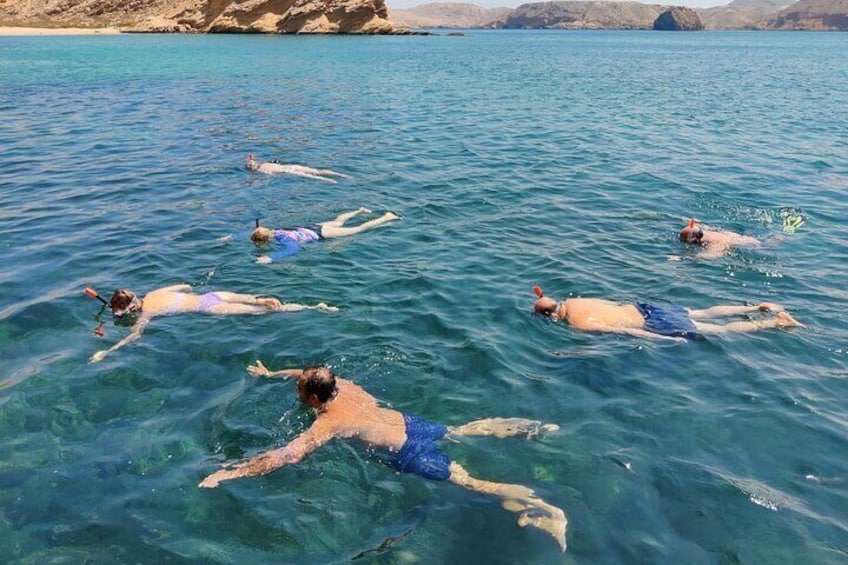 Experience Dolphin watching and snorkeling in Muscat