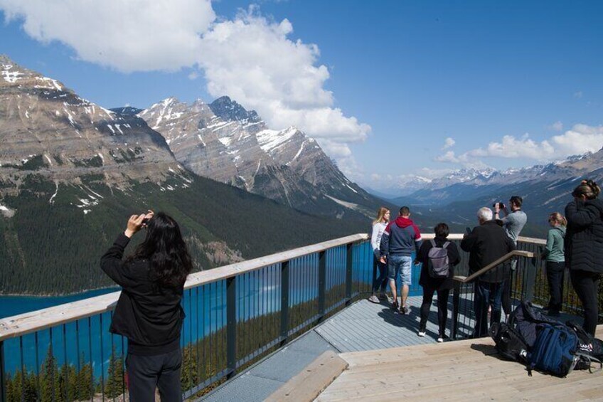 Lake Louise and Peyto Lake Full Day Tour