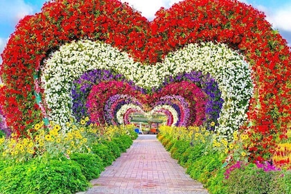 Miracle Garden Dubai Tour from Abu Dhabi with Private Transfers