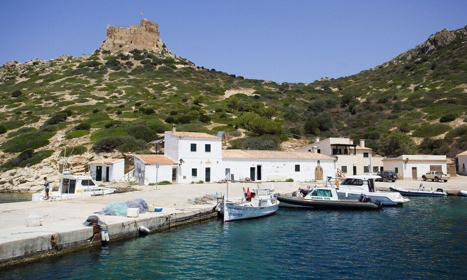 Picture 4 for Activity Colonia Sant Jordi: Classic & Express Boat Tour to Cabrera